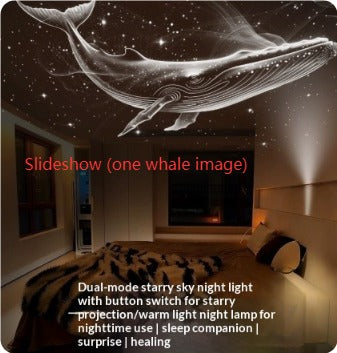 USB Rechargeable Night Light Bedside Lamp